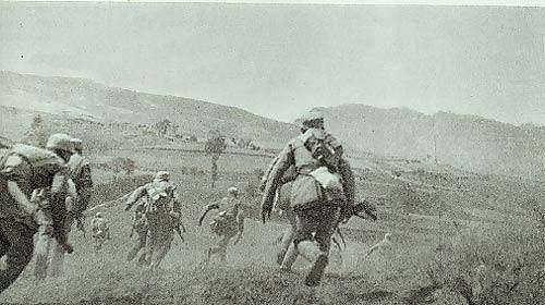 cns_kang_0417cc546dfb37589d_0.jpg