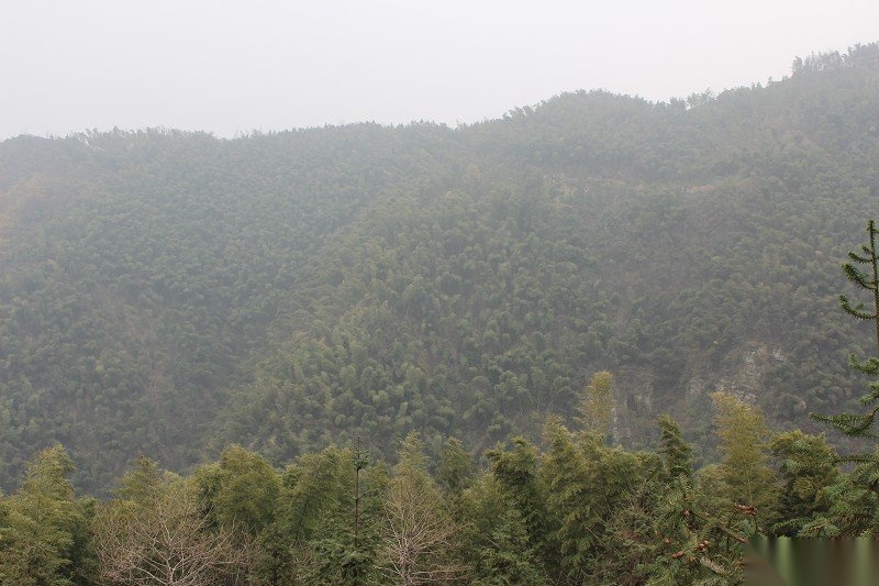 cns_kang_1e71615862c9272a64_8.jpg
