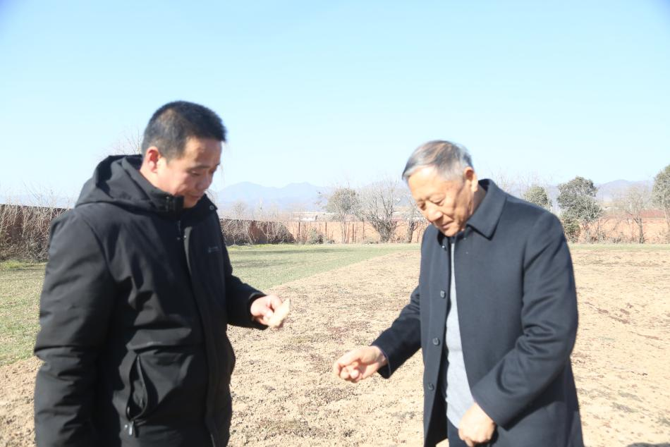 cns_kang_32194eb03331077332_2.png