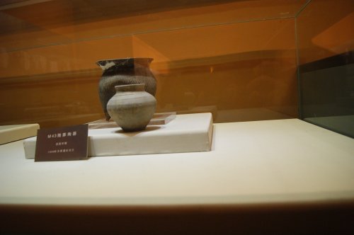 cns_kang_3e4391c6fc9cce45d0_12.jpg