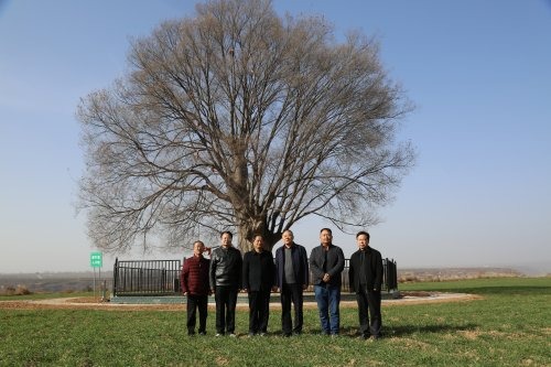 cns_kang_53a10ee9deb9e00019_4.jpg