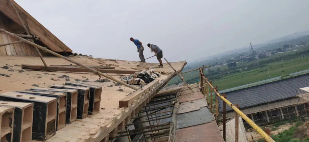 cns_kang_5472c90cc33a46a8fe_16.png