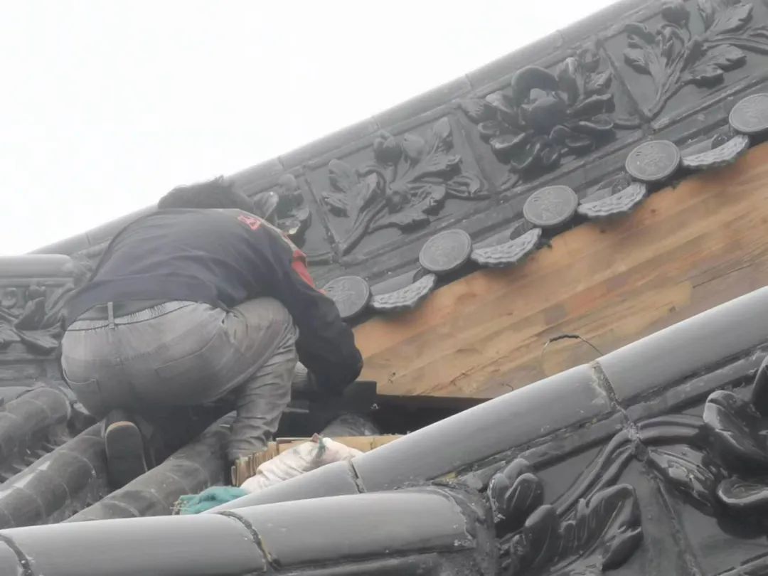 cns_kang_5b4345641397f2b82f_24.png