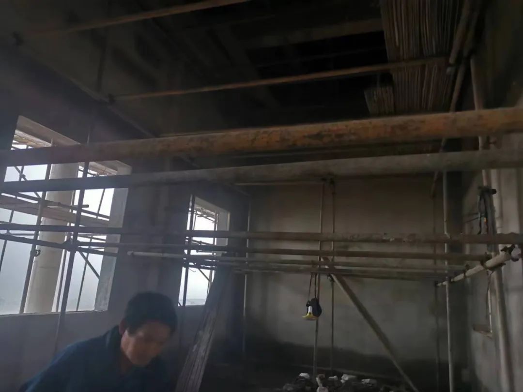 cns_kang_6853a0ded77e91917f_10.png