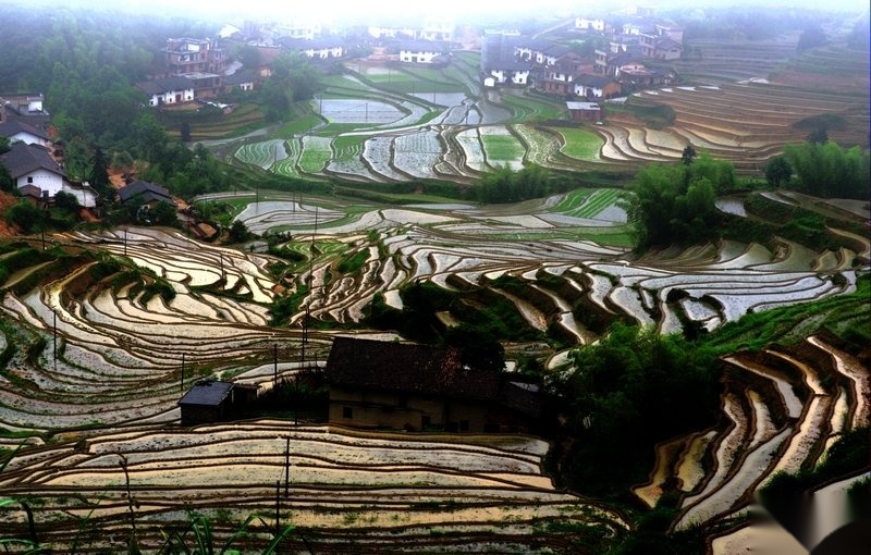 cns_kang_69e0f918c1a9fa4340_7.jpg