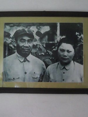 cns_kang_6ee48e631b3ffe12c6_15.jpg