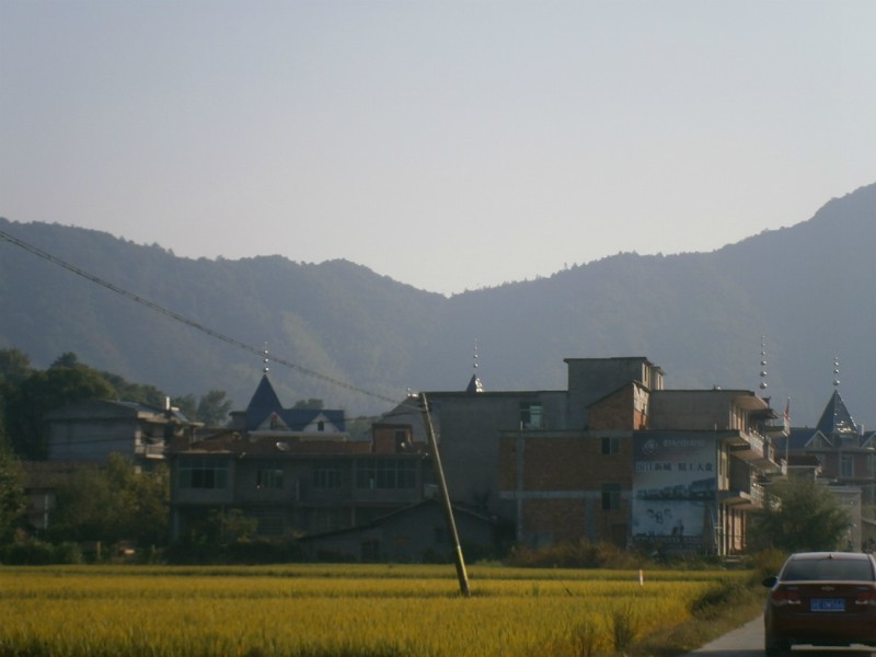 cns_kang_730ed7ab975d8c47d5_4.jpg