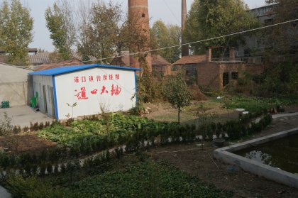 cns_kang_7b9d355c689db2f1c5_2.jpg