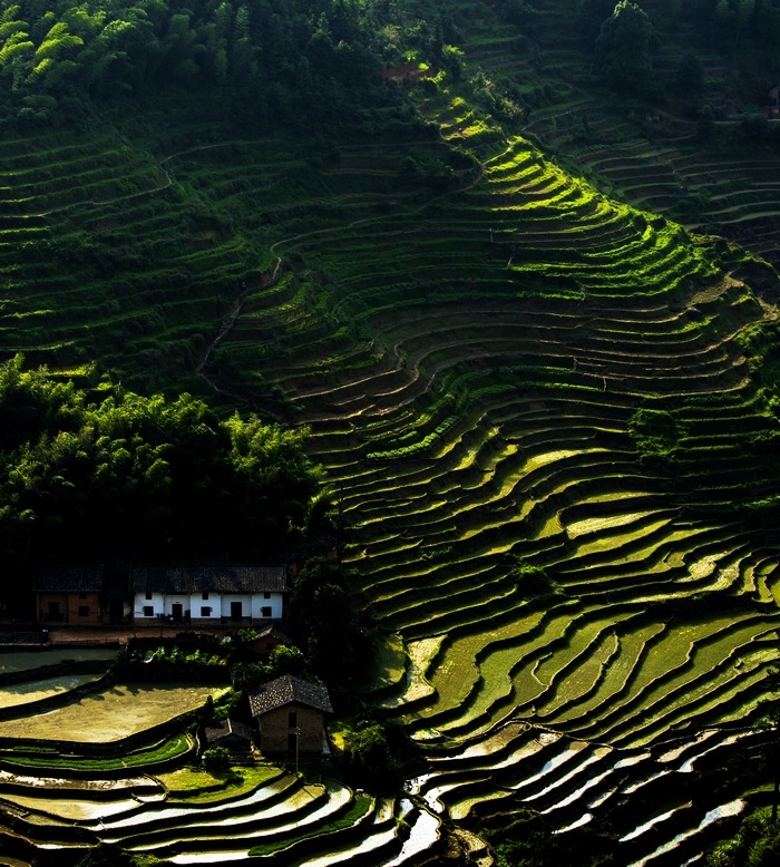 cns_kang_929273c3c6d9555e81_7.jpg