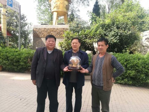 cns_kang_a32f8e9873206826dd_1.jpg