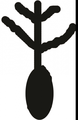cns_kang_b3b7dcea37df00a475_4.png