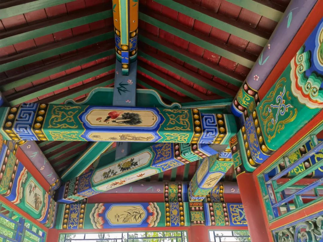 cns_kang_b7d0853935b27c647c_1.png