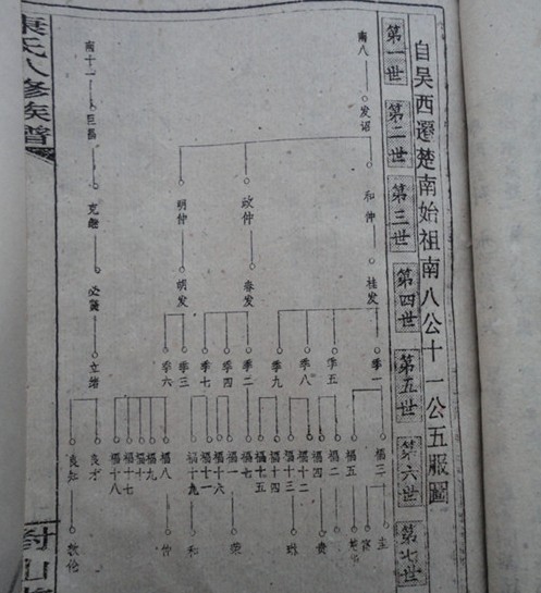 cns_kang_c538f2fe24322fd7e0_1.jpg