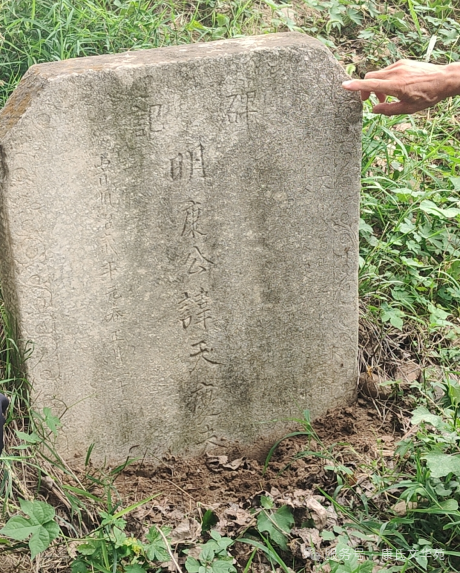 cns_kang_dd045fd0879cab90ab_0.png