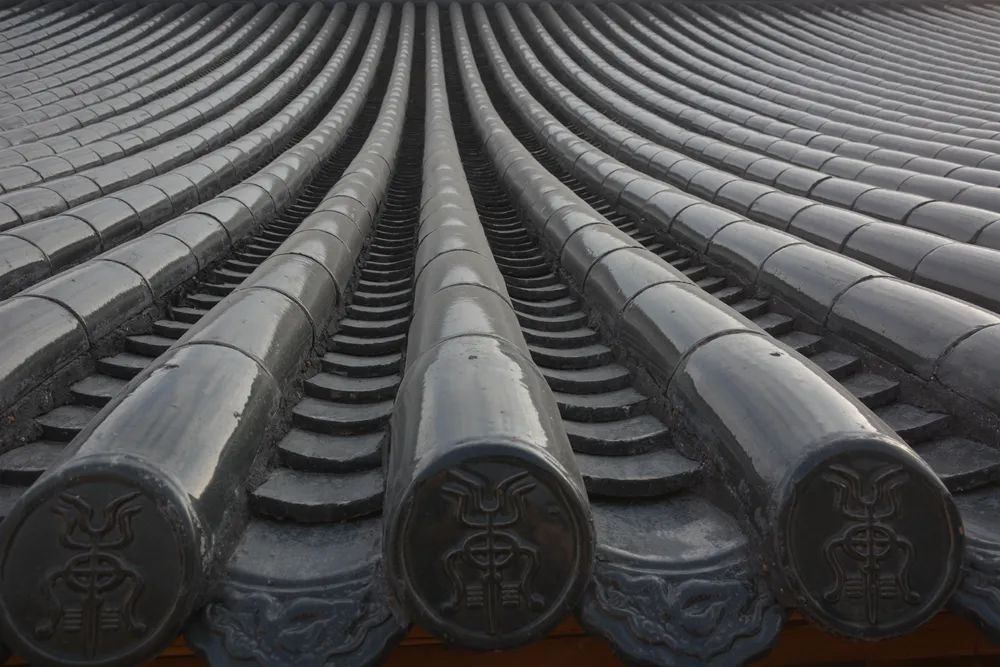 cns_kang_f9170782f79a07ad01_32.png