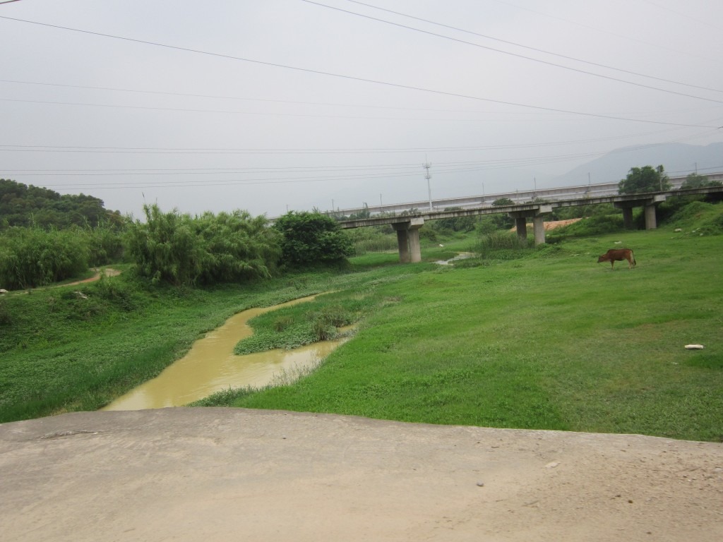 cns_kangorg_19ea128367c5e213b5_3.jpg