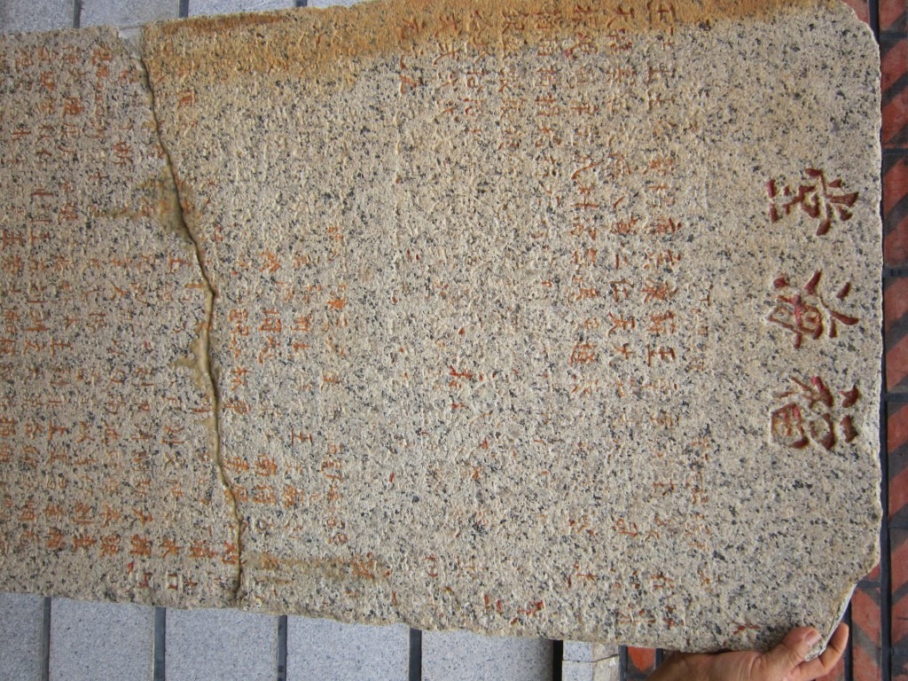 cns_kangorg_37dc90b1aa4873b031_6.jpg