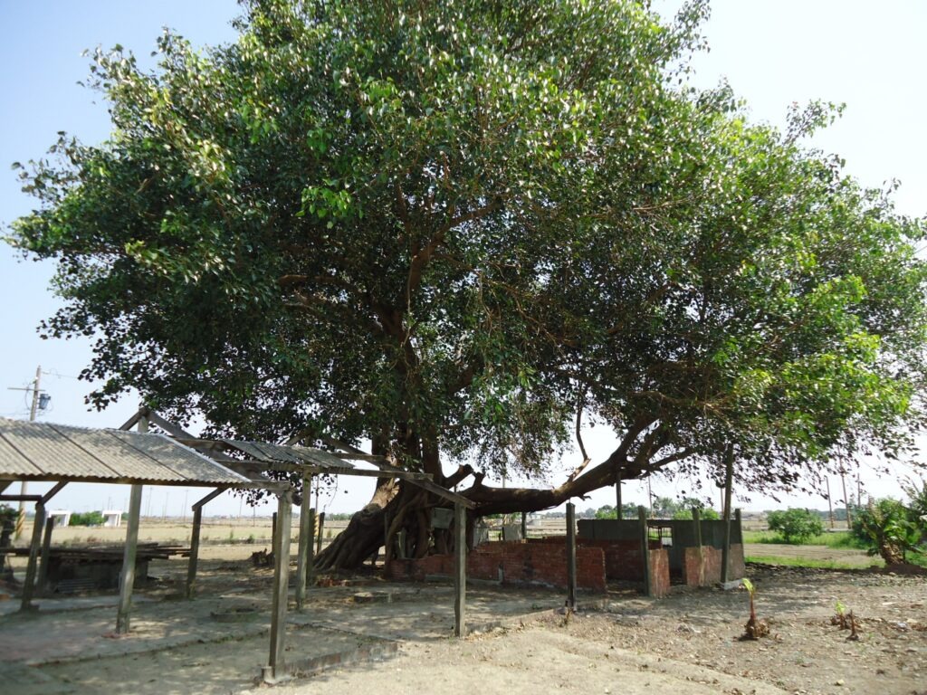 cns_kangorg_587e4624ae5bdbec17_17.jpg
