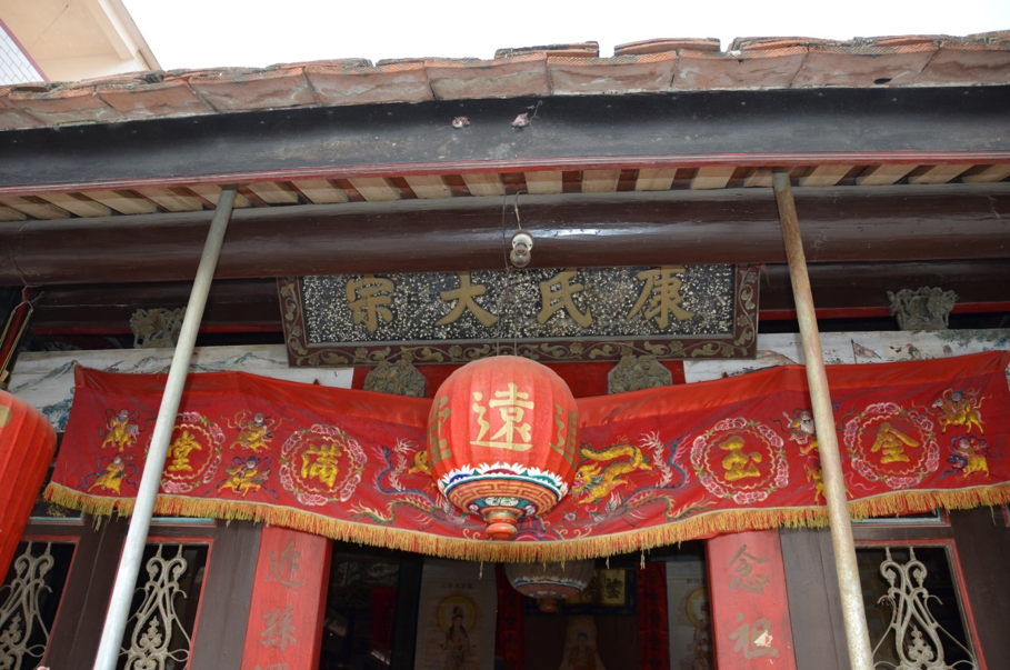 cns_kangorg_7e826fc1b968b1531b_1.png