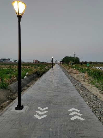 cns_kangorg_d9818666913d35a34c_9.jpg