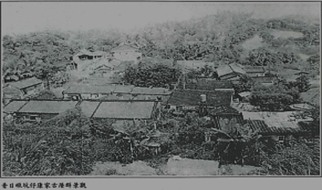 cns_kangorg_efa09fd2536c066b65_2.jpg