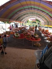 cns_kangorg_ff11f7c165a42d3ec7_6.jpg