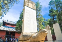 来曲阜，探寻《太平年》里的千年儒风（文化资料）.jpg
