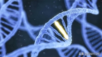 2006年，中科院邀请孔子后人做DNA，为何遭对方一口回绝？（人物史料）.jpg