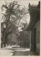 胜迹史料：曲阜.我们孔氏的祖庭.历2500多年.她毅然挺立.让我想起了那句歌词.只要黄河长江水（胜迹史料）.jpg