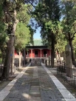 走近孔子，仰止泰山——问道寻茶（文化资料）.jpg