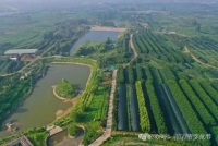 走近孔子，仰止泰山——问道寻茶（文化资料）.jpg