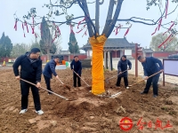 万姓之根”文化标识将落户商丘燧皇陵（文化资料）.jpg