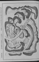 文化资料：湖北孔氏 浠水支（文化资料）.png