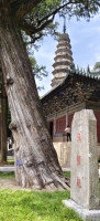 走近孔子，仰止泰山——问道寻茶（文化资料）.jpg