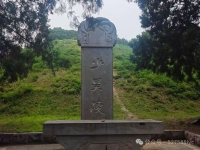文化资料：驱车沿327国道驶出曲阜城，拐弯向北行五公里，便抵达旧县村。村落东北，青松翠柏掩映之（文化资料）.jpg