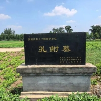文化资料：知道孔鲋吗? 知道焚书坑儒吗? 知道鲁壁藏书吗? 知道大泽乡农民起义吗? 知道