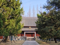 文脉薪火相传！清明祭孔大典在嘉定孔庙举行（祭祀纪事）.jpg