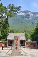 走近孔子，仰止泰山——问道寻茶（文化资料）.jpg