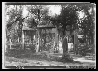 曲阜老照片（文化资料）.jpg