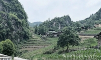 “写生山峡碧水，吟颂风雨同舟” — 孔维克一行赴奉节山峡腹地采风纪实（文化资料）.jpg
