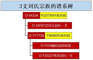 liushi_10234_2_8b9a5722c30f.jpg