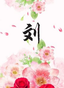 liushi_4255_1_1e4037499b2d.jpg