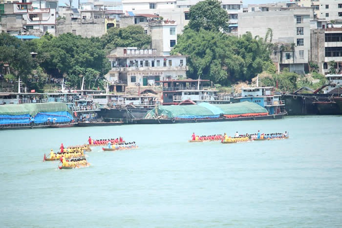 cns_nong_04a6fc88cc29e4070f_11.jpg