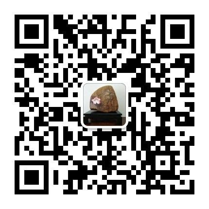 cns_nong_06615e1a7b4be2132e_70.jpg