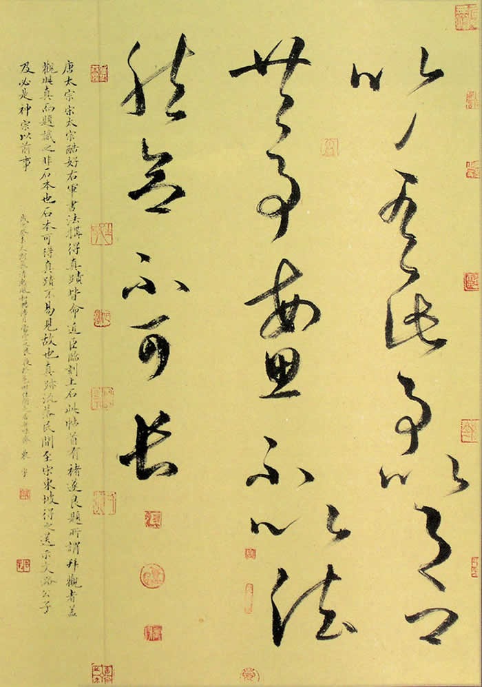 cns_nong_14df6d49565343a033_2.jpg