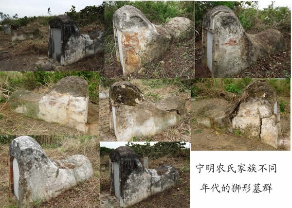 cns_nong_1c0dbd9f8c69a18a11_1.jpg