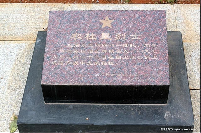 cns_nong_1c276f019231b47869_3.jpg