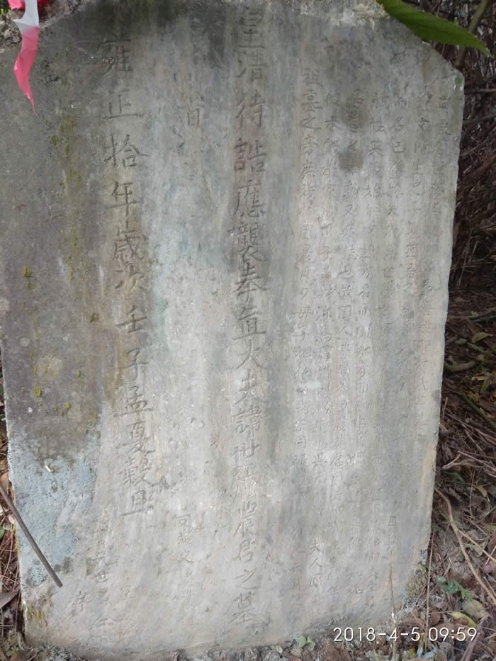 cns_nong_3255499e450fe5d3f5_8.jpg