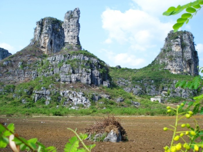 cns_nong_3d025d0763ecd99e6f_21.jpg