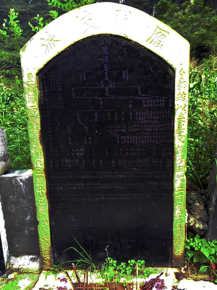 cns_nong_54fe3969d8c29c4d5a_0.jpg